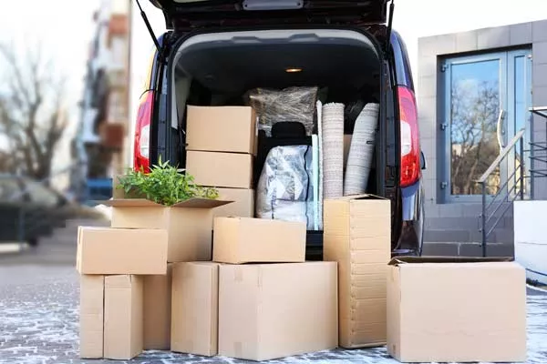 Livraison urgente mobilier de jardin acheté en magasin Castorama, Brest, SLD Multi-services